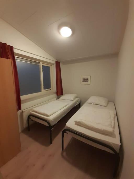 Saevis Tranquillus In Undis In De Ijsvogel Villa Diffelen ภายนอก รูปภาพ